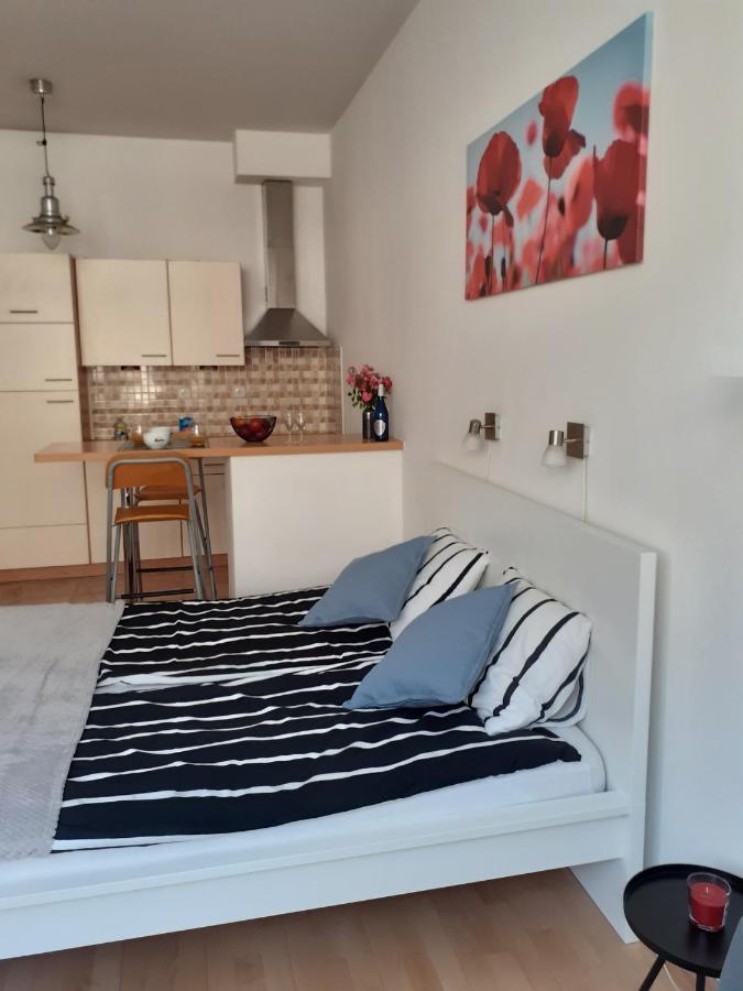 Central Belvedere Apartman 布达佩斯 外观 照片