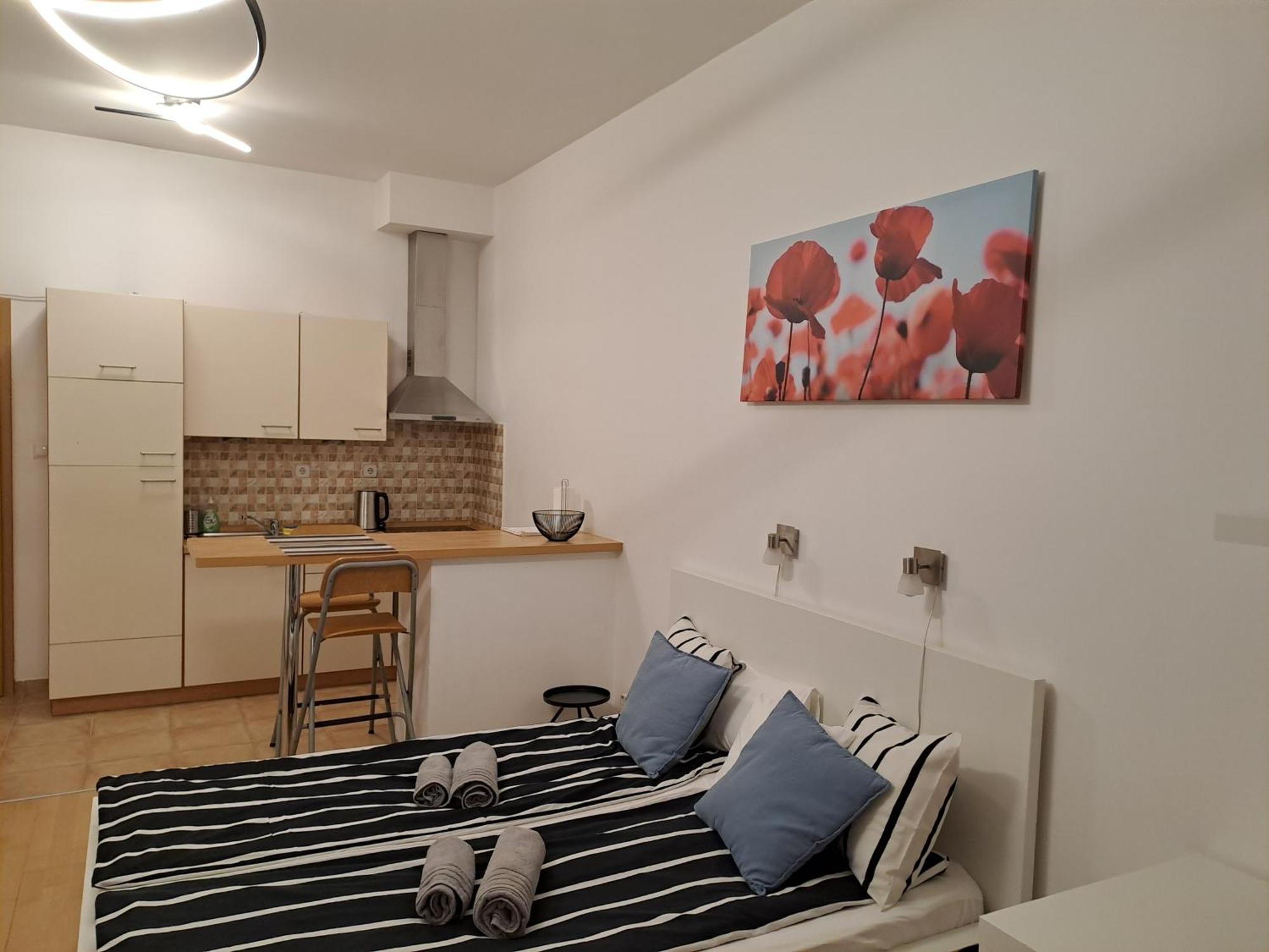 Central Belvedere Apartman 布达佩斯 外观 照片